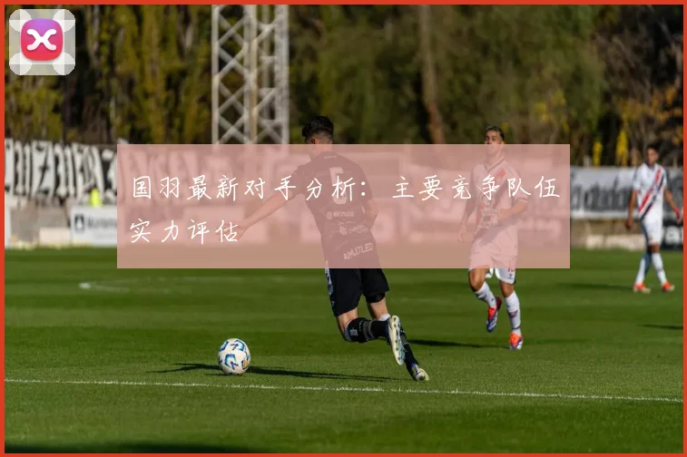 国羽最新对手分析:主要竞争队伍实力评估
