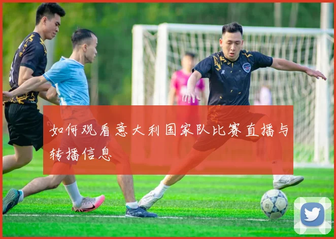 如何观看意大利国家队比赛直播与转播信息