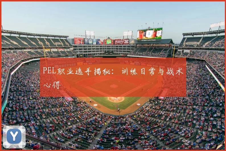 PEL职业选手揭秘：训练日常与战术心得