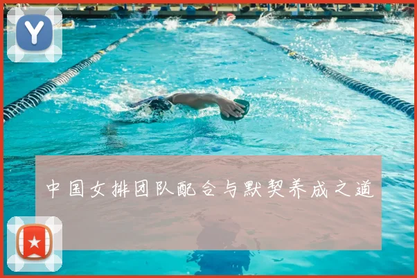 中国女排团队配合与默契养成之道