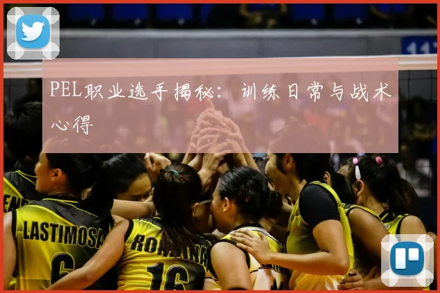 PEL职业选手揭秘:训练日常与战术心得