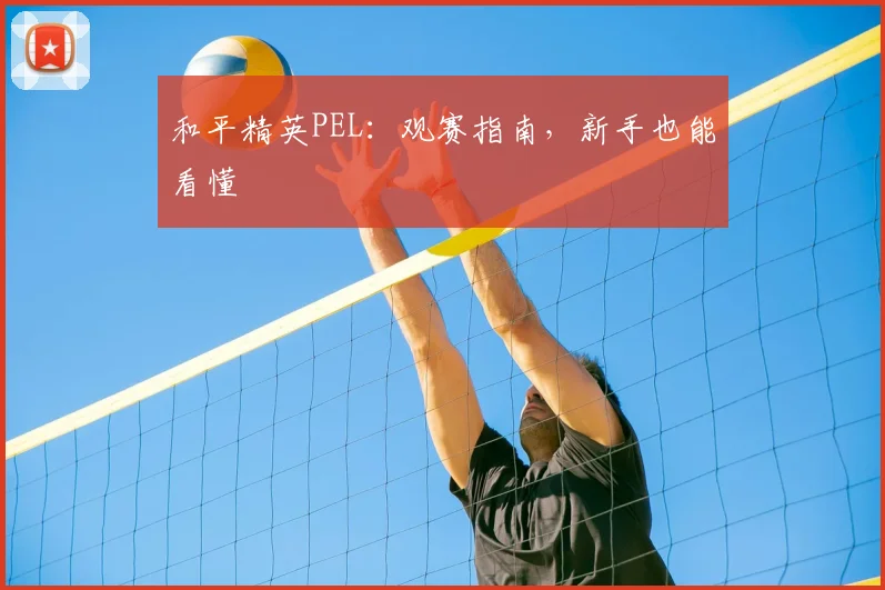 和平精英PEL：观赛指南，新手也能看懂