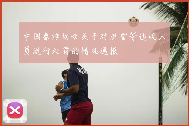 中国象棋协会关于对洪智等违规人员进行处罚的情况通报