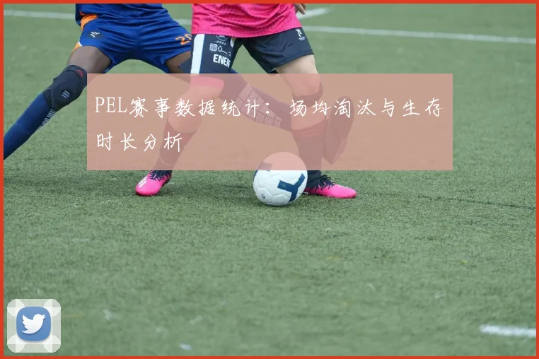 PEL赛事数据统计:场均淘汰与生存时长分析