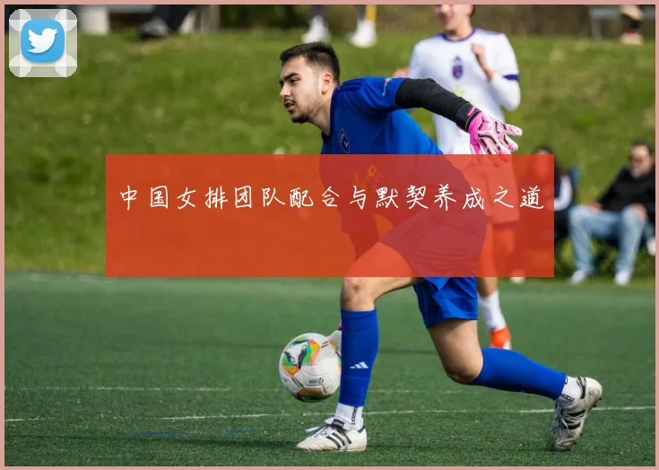 中国女排团队配合与默契养成之道