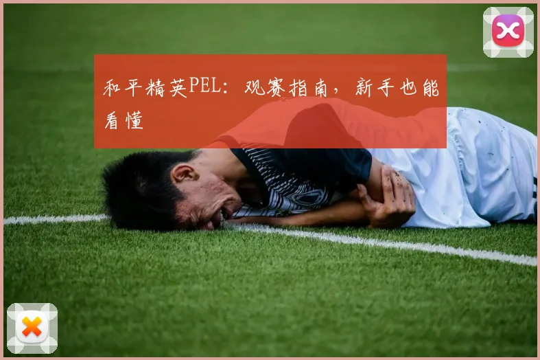 和平精英PEL:观赛指南,新手也能看懂